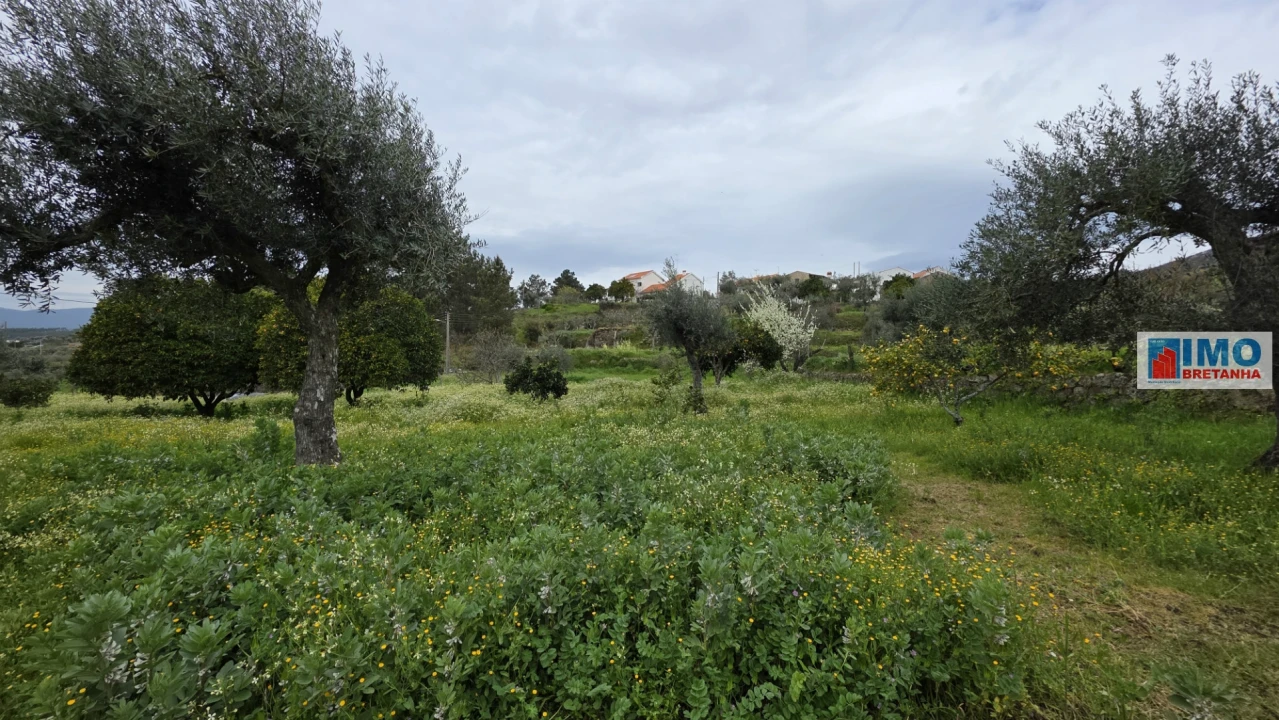 Quinta T0 para Venda em São Vicente da Beira Foto 15