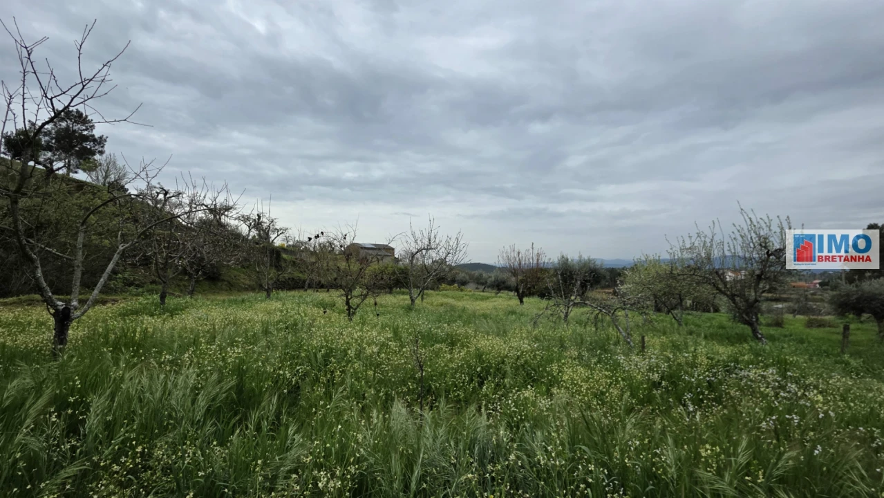Quinta T0 para Venda em São Vicente da Beira Foto 22