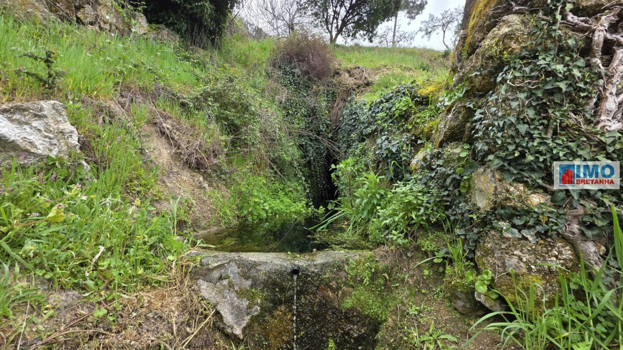 Quinta T0 para Venda em São Vicente da Beira Foto 20