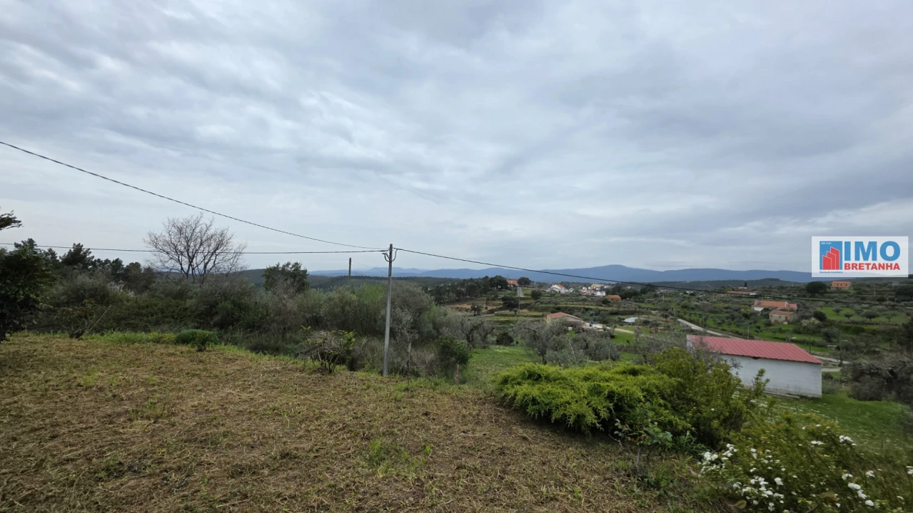 Quinta T0 para Venda em São Vicente da Beira Foto 25