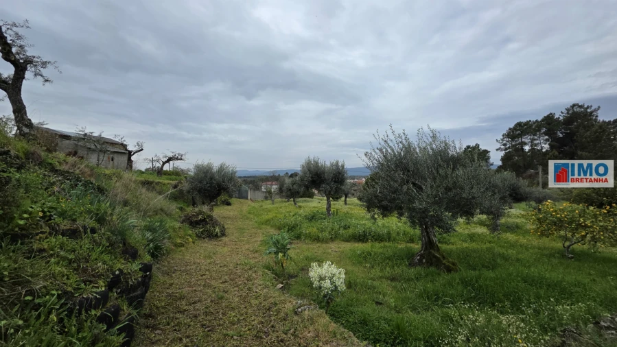Quinta T0 para Venda em São Vicente da Beira Foto 16