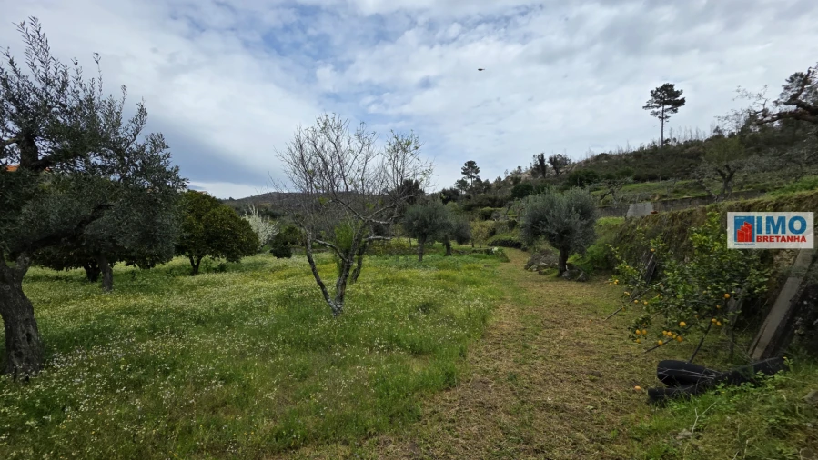 Quinta T0 para Venda em São Vicente da Beira Foto 13