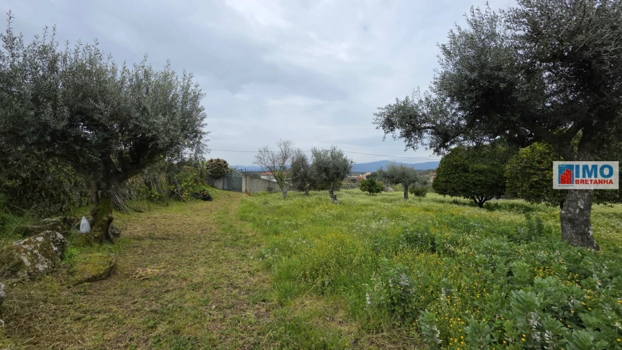 Quinta T0 para Venda em São Vicente da Beira Foto 14