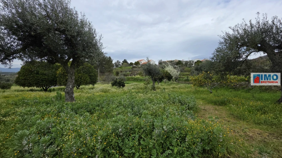 Quinta T0 para Venda em São Vicente da Beira Foto 15