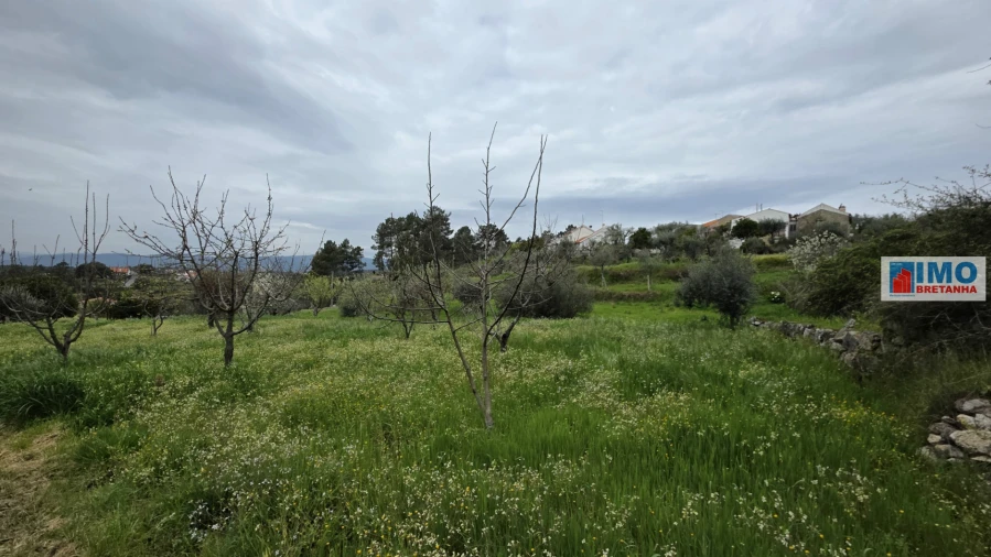 Quinta T0 para Venda em São Vicente da Beira Foto 21