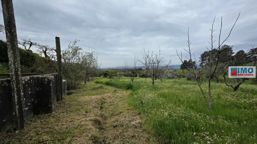 Quinta T0 para Venda em São Vicente da Beira Foto 19