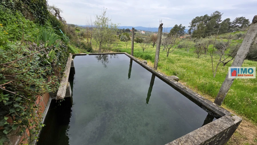 Quinta T0 para Venda em São Vicente da Beira Foto 12