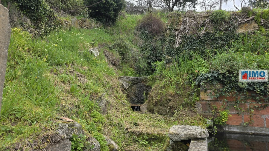 Quinta T0 para Venda em São Vicente da Beira Foto 11