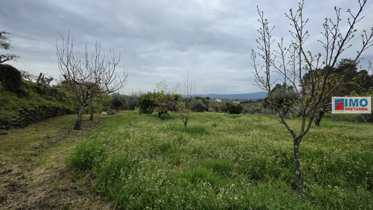 Quinta T0 para Venda em São Vicente da Beira Foto 17