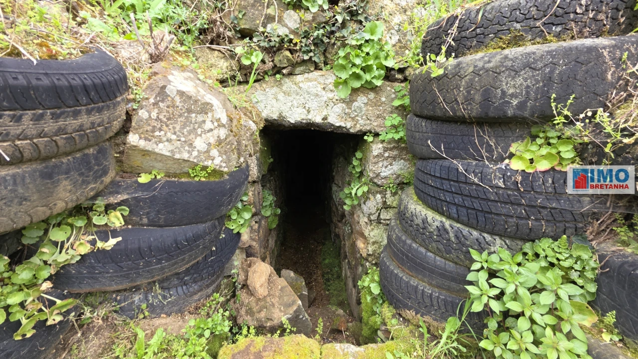 Quinta T0 para Venda em São Vicente da Beira Foto 10