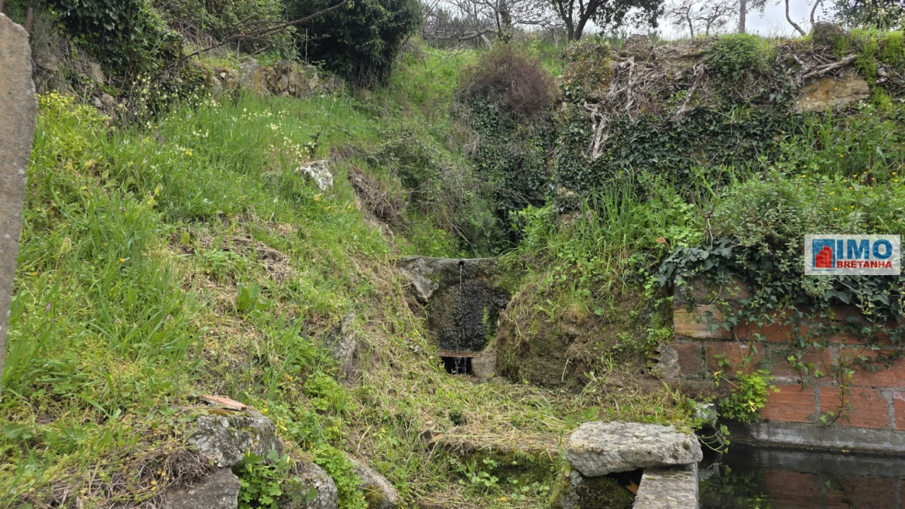 Quinta T0 para Venda em São Vicente da Beira Foto 11