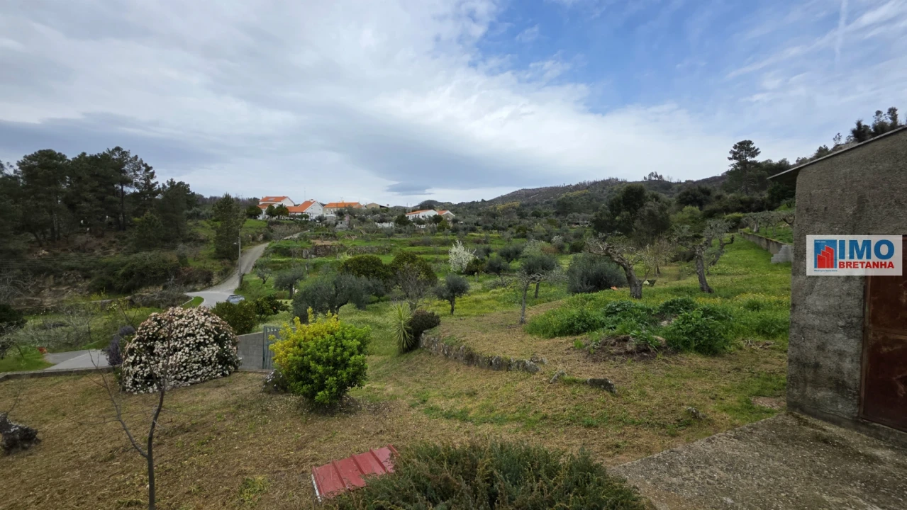 Quinta T0 para Venda em São Vicente da Beira Foto 24