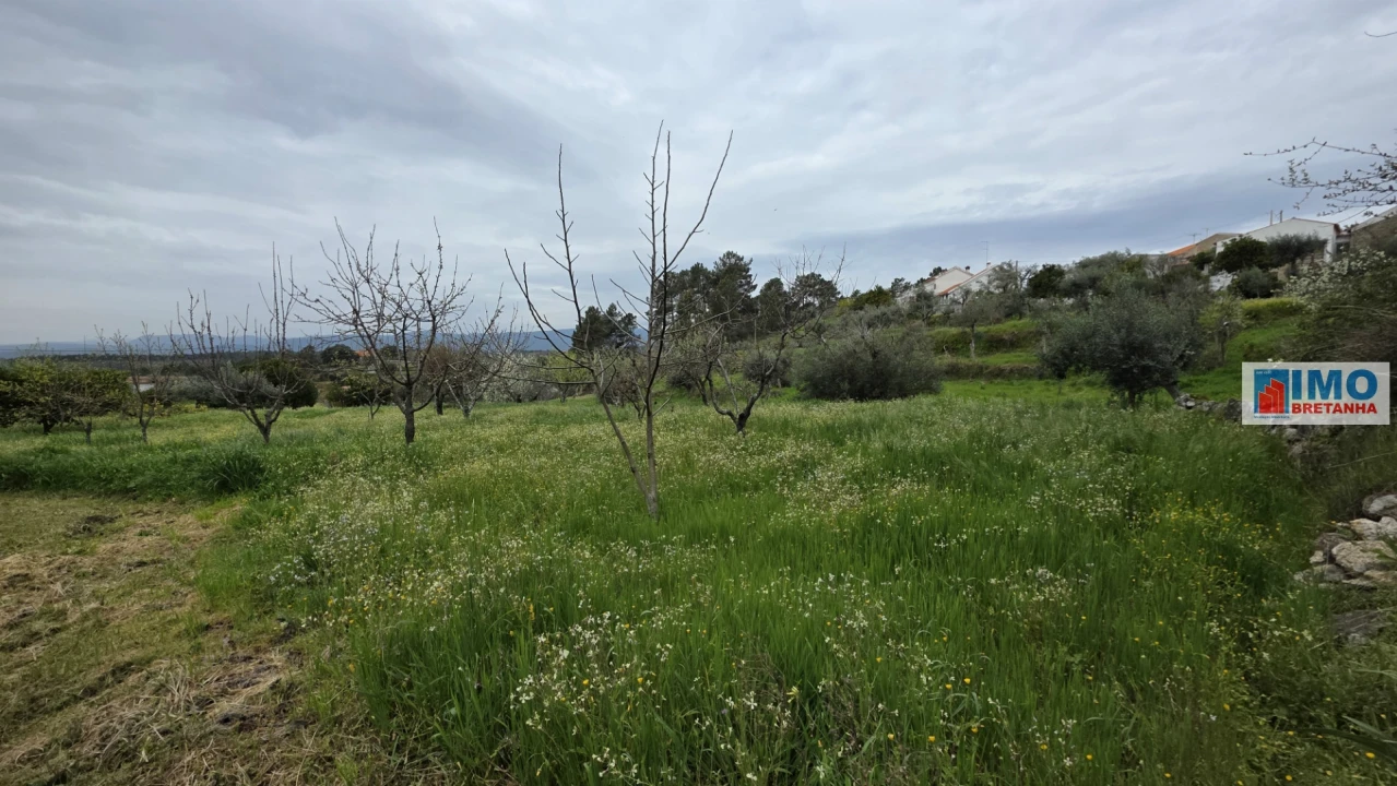 Quinta T0 para Venda em São Vicente da Beira Foto 18