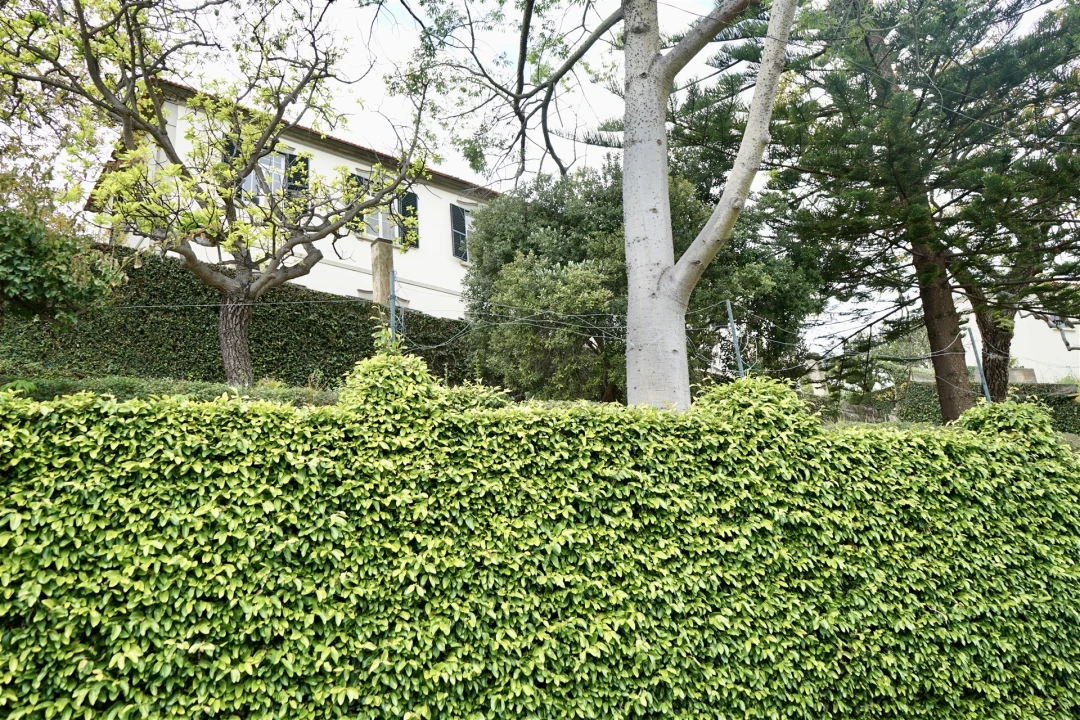 Moradia T4 para Venda em Santo Antonio Foto 40