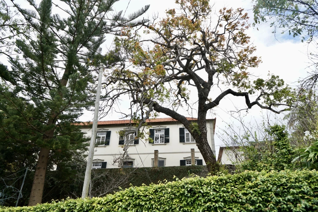 Moradia T4 para Venda em Santo Antonio Foto 49