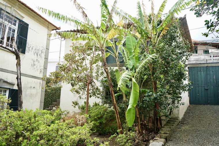 Moradia T4 para Venda em Santo Antonio Foto 35