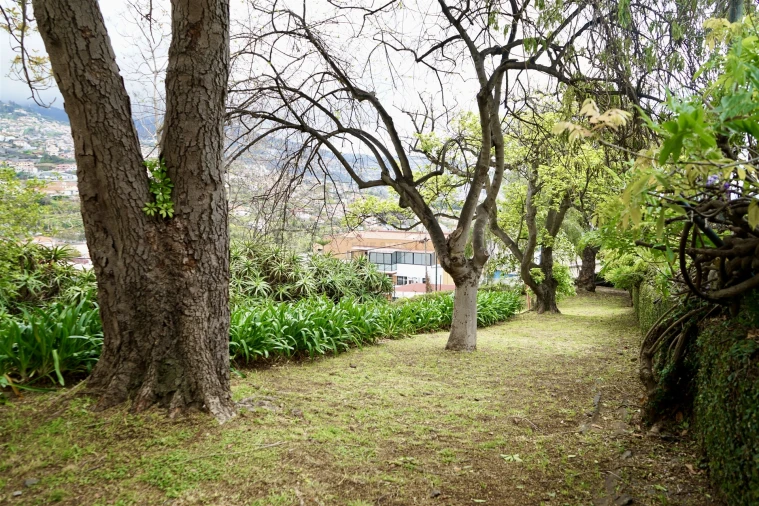 Moradia T4 para Venda em Santo Antonio Foto 43