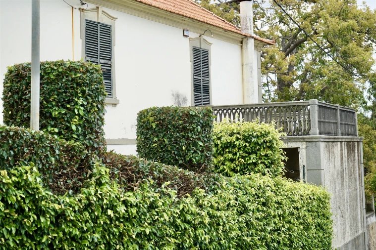 Moradia T4 para Venda em Santo Antonio Foto 34