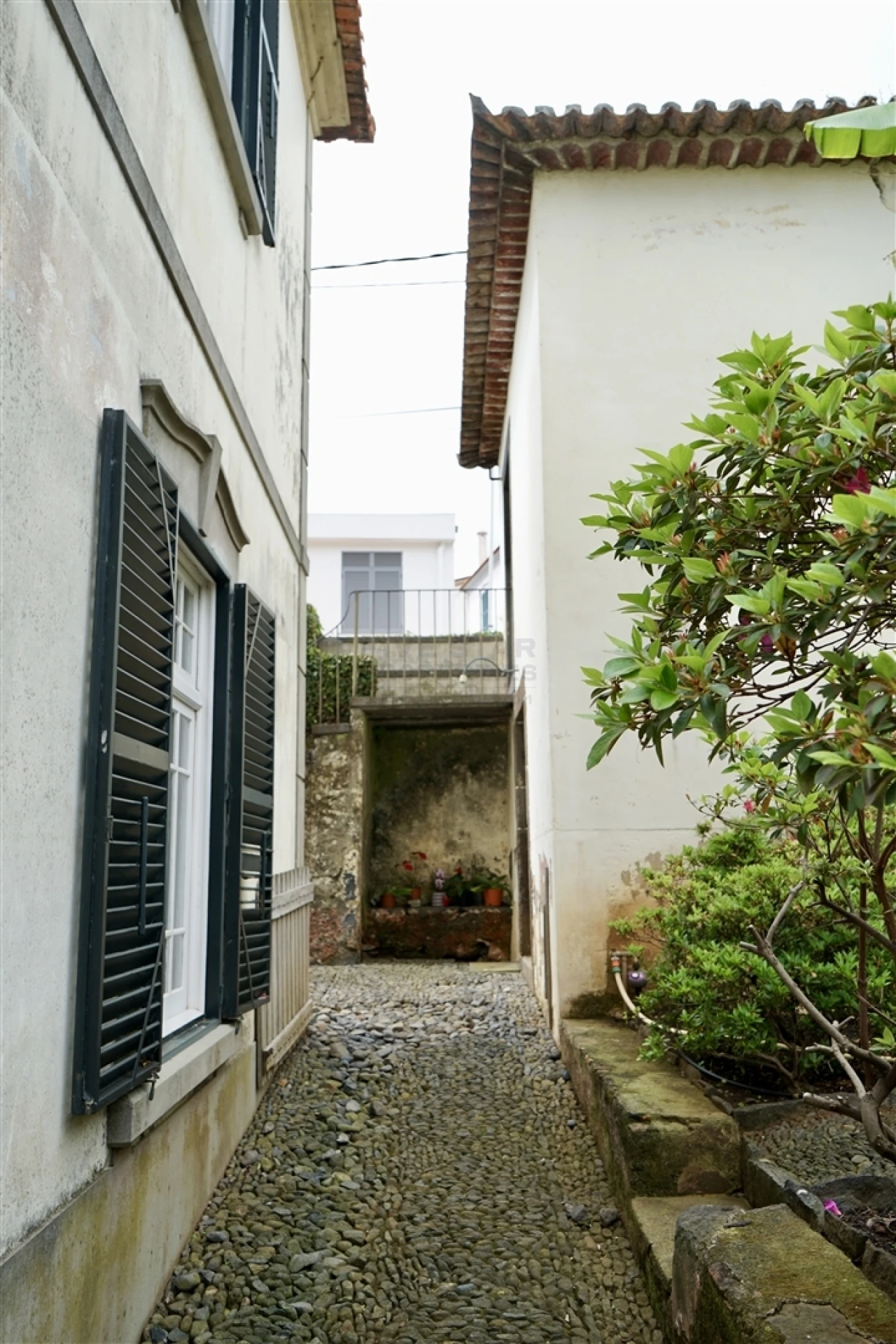 Moradia T4 para Venda em Santo Antonio Foto 37