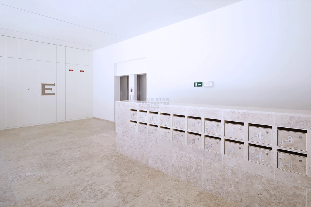 Apartamento T0 para Venda em Santo António Foto 4