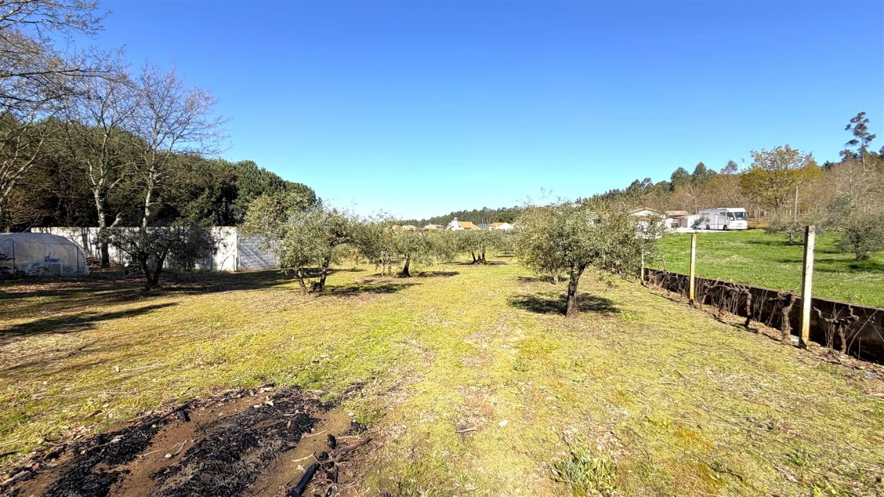 Terreno para Venda em Espariz e Sinde Foto 5