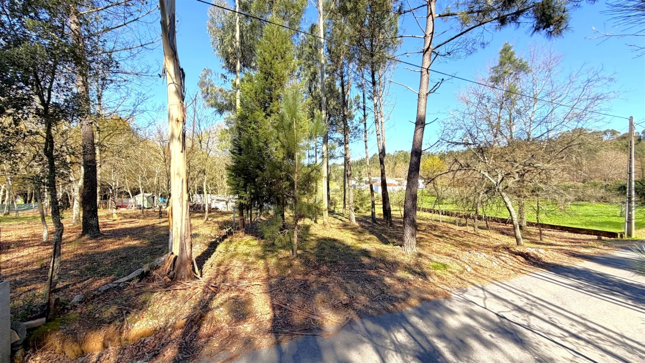 Terreno para Venda em Espariz e Sinde Foto 4