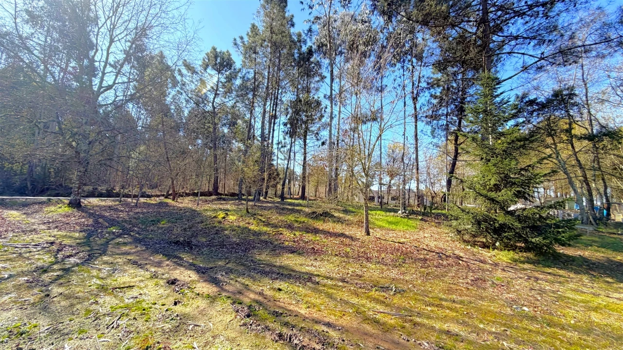 Terreno para Venda em Espariz e Sinde Foto 7