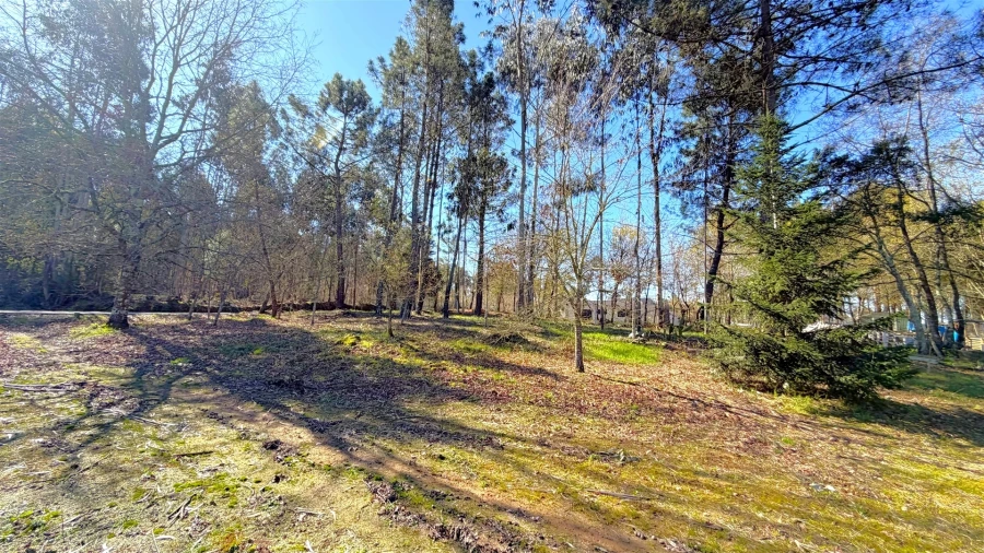 Terreno para Venda em Espariz e Sinde Foto 7
