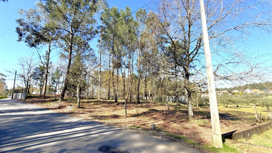 Terreno para Venda em Espariz e Sinde Foto 3