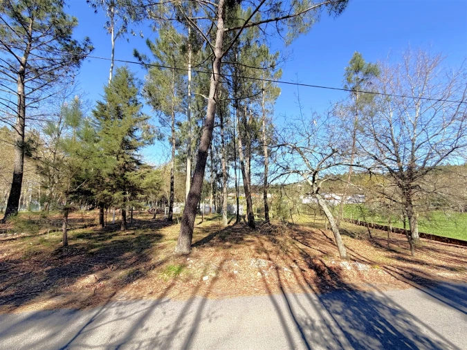Terreno para Venda em Espariz e Sinde Foto 2