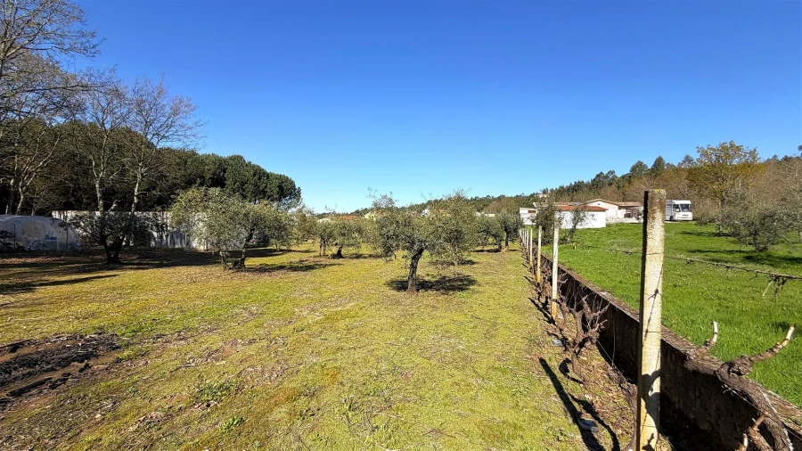 Terreno para Venda em Espariz e Sinde Foto 6