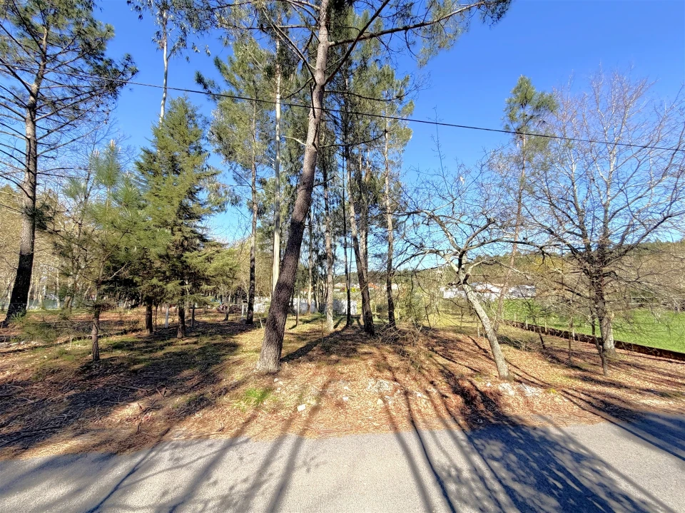Terreno para Venda em Espariz e Sinde Foto 2
