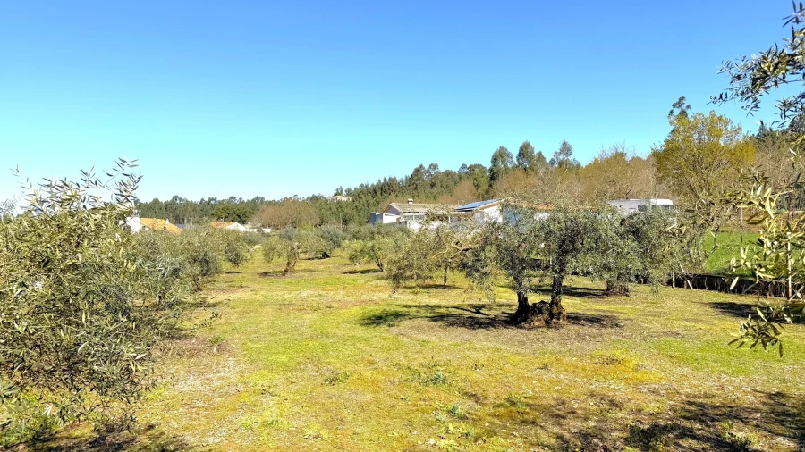 Terreno para Venda em Espariz e Sinde