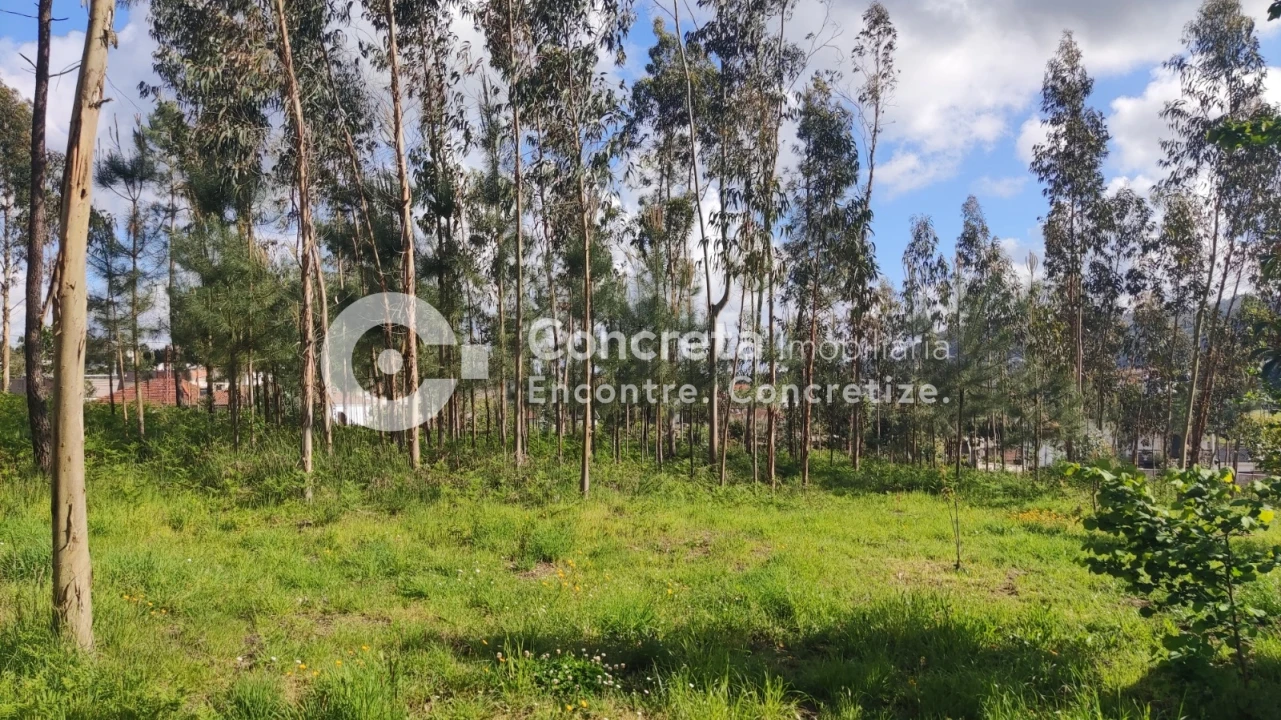 Terreno para Venda em Varzea Foto 5