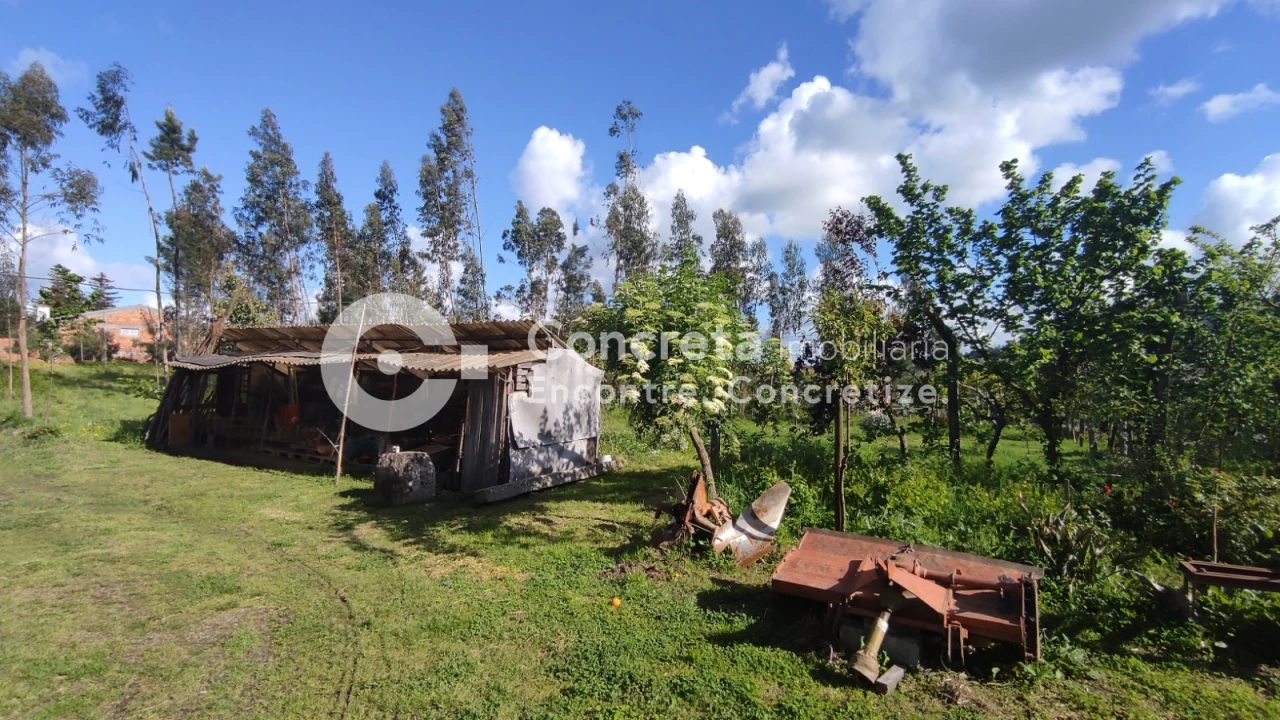Terreno para Venda em Varzea Foto 7