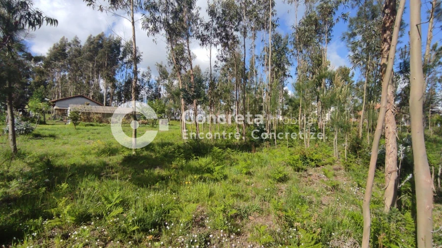 Terreno para Venda em Varzea Foto 4