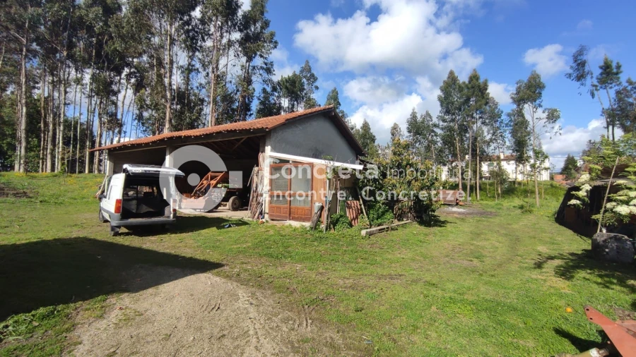 Terreno para Venda em Varzea Foto 6