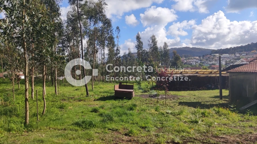 Terreno para Venda em Varzea Foto 3