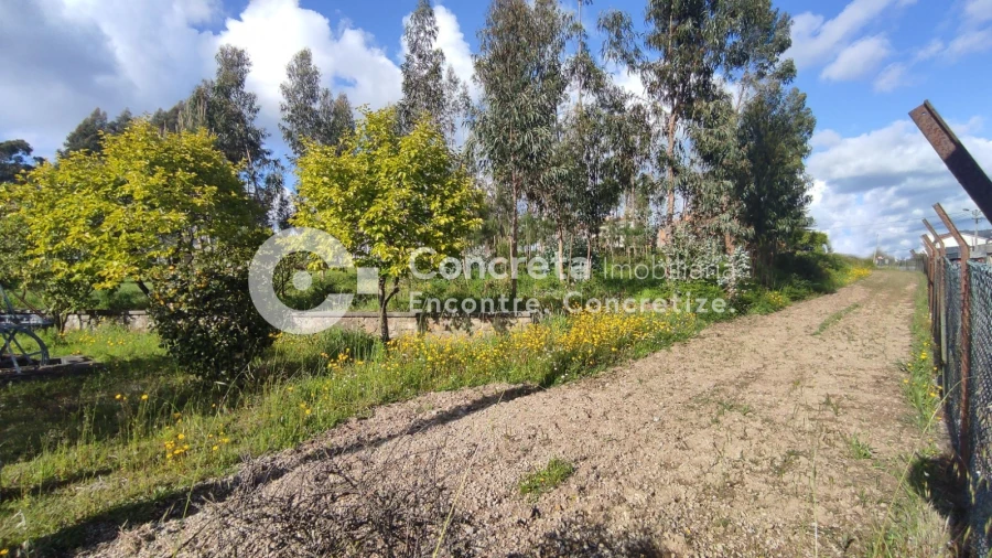 Terreno para Venda em Varzea Foto 8