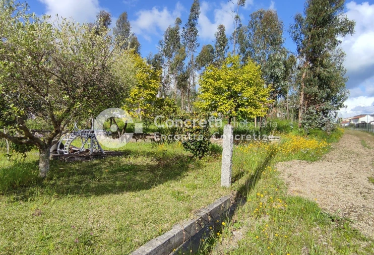 Terreno para Venda em Varzea Foto 2