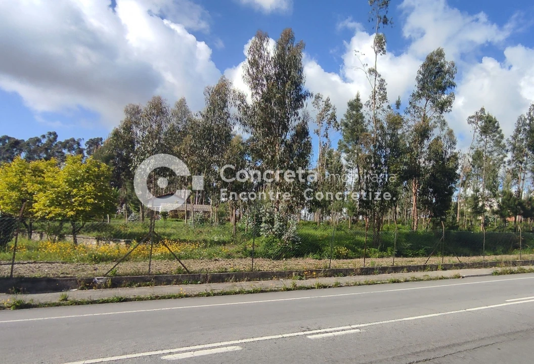 Terreno para Venda em Varzea Foto 1