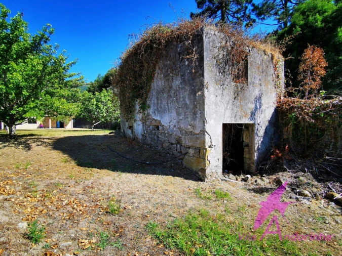 Moradia T3 para Venda em Moledo e Cristelo Foto 12