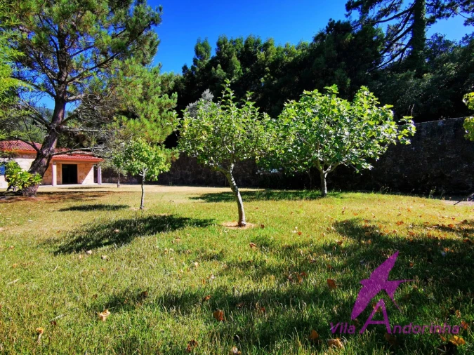 Moradia T3 para Venda em Moledo e Cristelo Foto 42