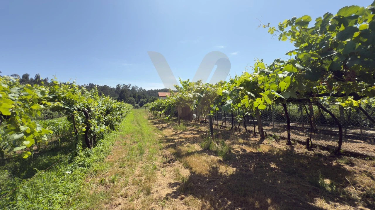 Terreno para Venda em Estorãos Foto 8