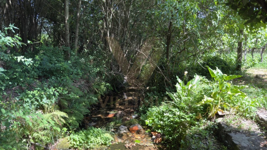Terreno para Venda em Estorãos Foto 12