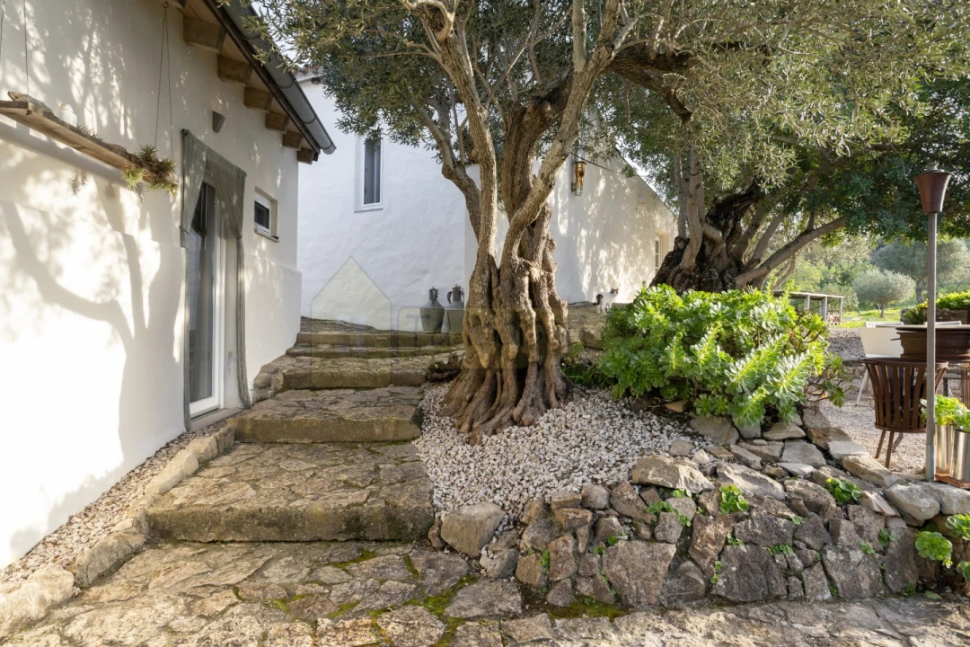 Moradia T3 para Venda em Conceição e Estoi Foto 44