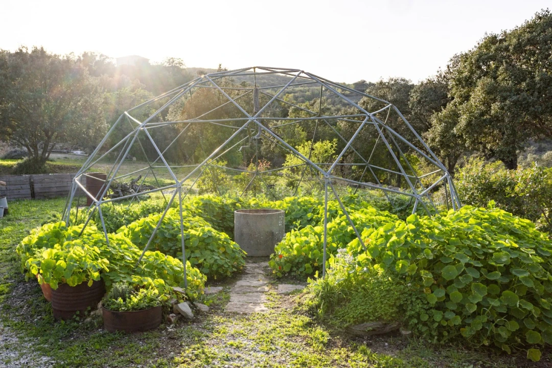 Moradia T3 para Venda em Conceição e Estoi Foto 49