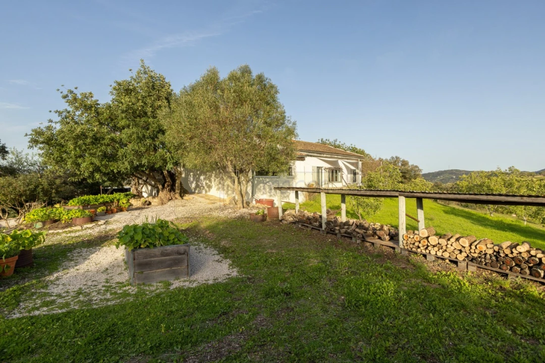 Moradia T3 para Venda em Conceição e Estoi Foto 50