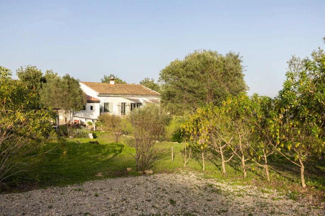 Moradia T3 para Venda em Conceição e Estoi Foto 53