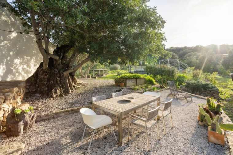 Moradia T3 para Venda em Conceição e Estoi Foto 45